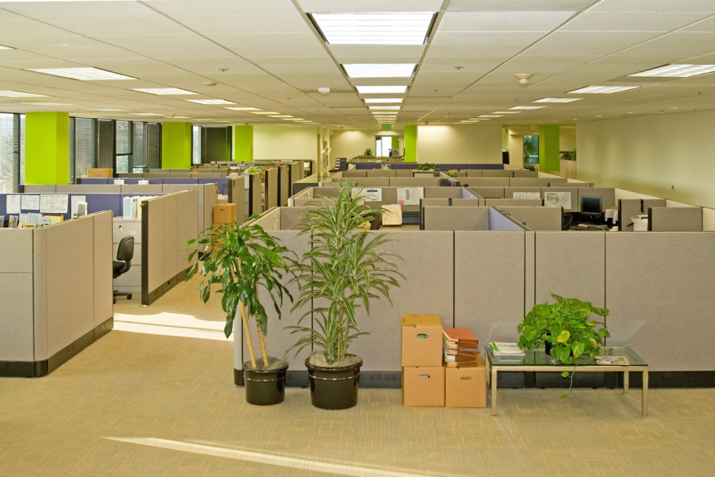 The Creative & Workspace Advantages of the Office Cubicle Design