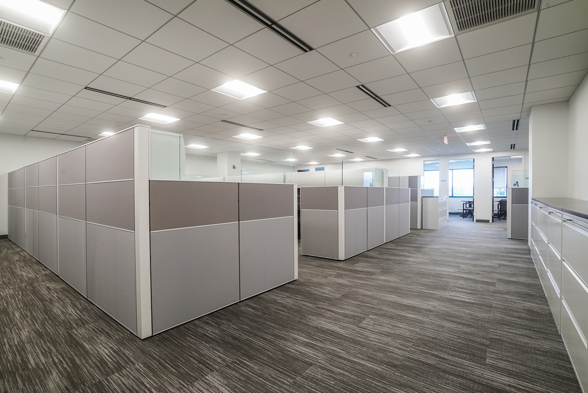 Grey office cubicles in an office in El Paso.